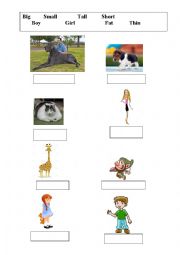 English Worksheet: Opposites