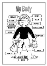 English Worksheet: Body