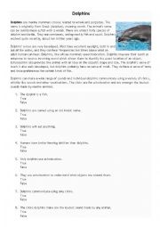 English Worksheet: Dolphins