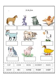 English Worksheet: animals