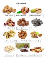 English Worksheet: Nuts and seeds flashcards