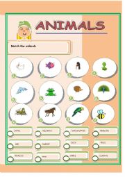 English Worksheet: ANIMALS