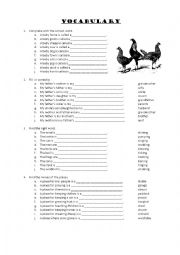 English Worksheet: Vocabulary