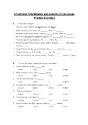 English Worksheet: Exercises on possessives - determiners and pronouns