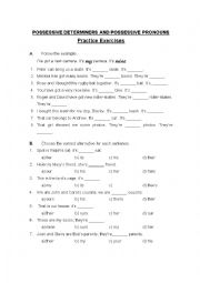 Exercises on possessives - determiners and pronouns