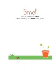 English Worksheet: Smell