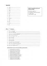 English Worksheet: Vocabulary Practice Exercises