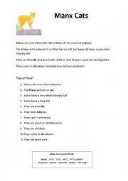 English Worksheet: Manx Cats