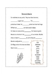 English Worksheet: MUSCLES AND BONES