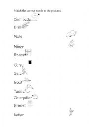 English Worksheet: Learning New Words