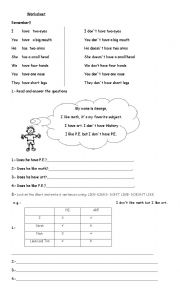 English Worksheet: present simple 