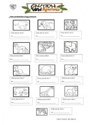 wild animals worksheet