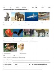 English Worksheet: animals vocabulary