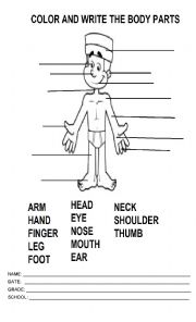 English Worksheet: color and write the body parts
