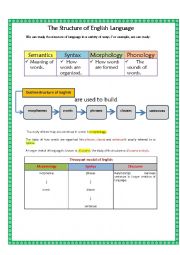 English Worksheet: the structure of english 