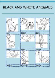 English Worksheet: BLACK AND WHITE ANIMALS 1