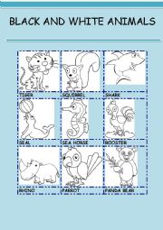 English Worksheet: BLACK AND WHITE ANIMALS 2