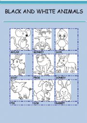 English Worksheet: BLACK AND WHITE ANIMALS 3