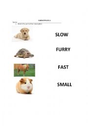 English Worksheet: Using comparative with pets