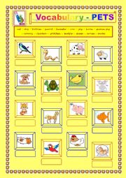 English Worksheet: Pets