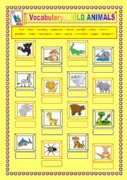 English Worksheet: Wild animals