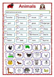 English Worksheet: Animals around us