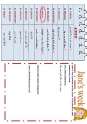 English Worksheet: Janes week - revision of basic tenses