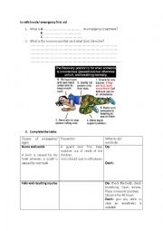 English Worksheet: in safwe hands/ first aid