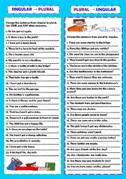 English Worksheet: Singular & plural practice