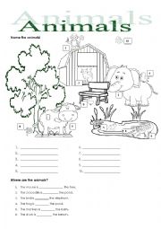 English Worksheet: ANIMALS