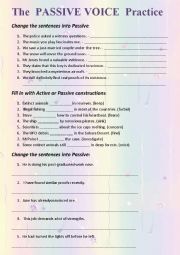 English Worksheet: Passive Voice