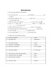 English Worksheet: Review of pronouns and occupations