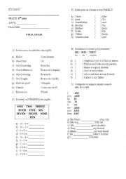 English Worksheet: Basic english test 6th grade