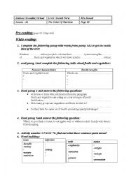 English Worksheet: the coulor of nutrition second form