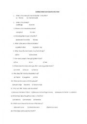 English Worksheet: charlie and the chocolate factory questions