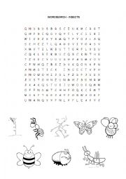 English Worksheet: Insects