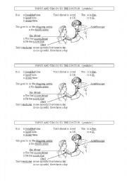 English Worksheet: GOING TO THE DOCTORE
