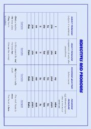 Adjectives and pronouns