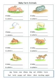 English Worksheet: Baby Farm Animals