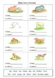 Baby Farm Animals