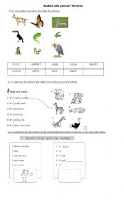 English Worksheet: Wild Animals