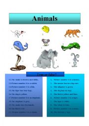 English Worksheet: Animals - True or False?