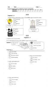 English Worksheet: beginner quiz 