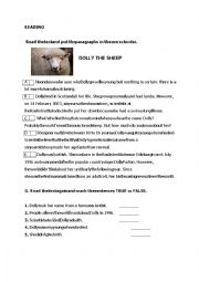 English Worksheet: Reading