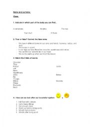 English Worksheet: Locomotor System