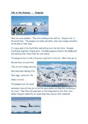 Reading/Comprehension task Penguins