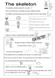 English Worksheet: The skeleton