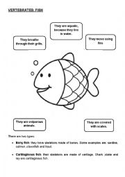 fish characteristics and groups