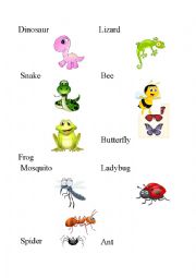 English Worksheet: Insects, amphibians and reptiles