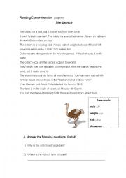 English Worksheet: The Ostrich